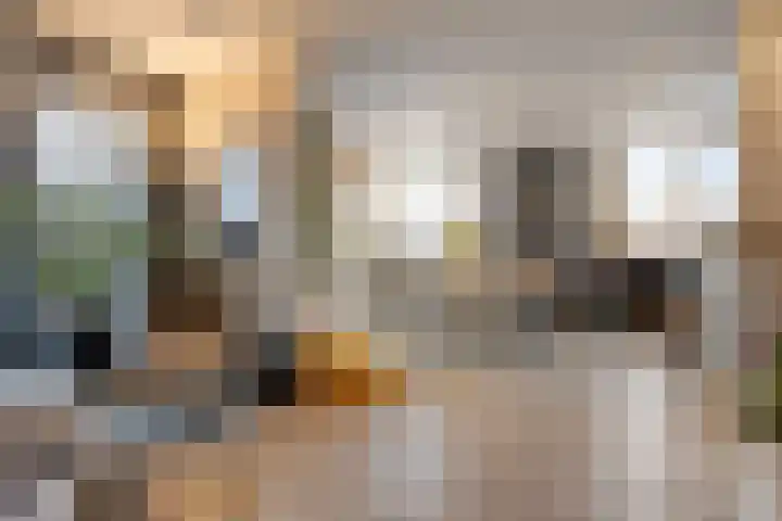 Lelie 27 Krimpen aan den IJssel thumbnail 12