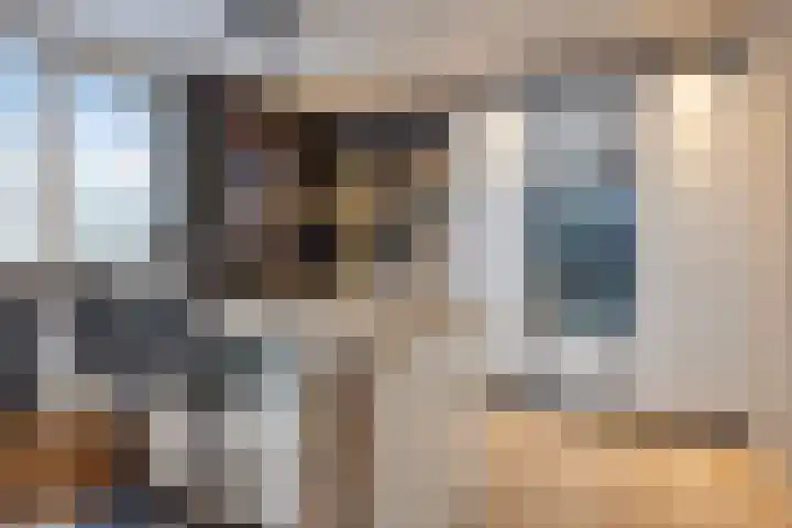 Lelie 27 Krimpen aan den IJssel thumbnail 18
