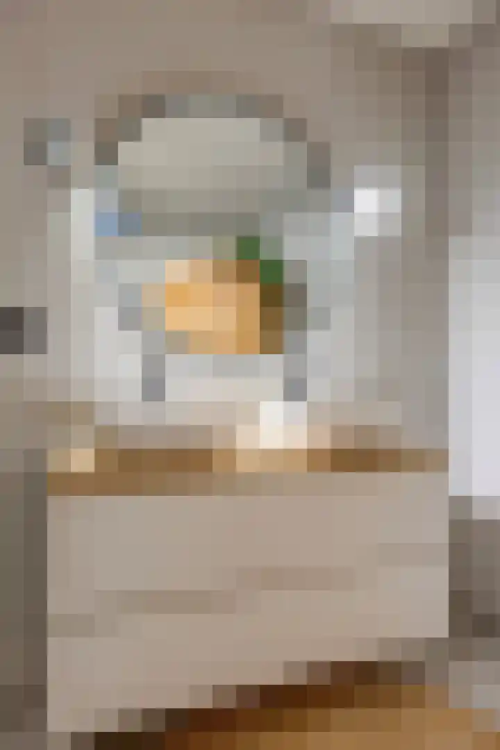 Lelie 27 Krimpen aan den IJssel thumbnail 34