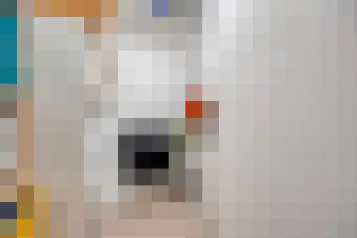Lelie 27 Krimpen aan den IJssel thumbnail 38