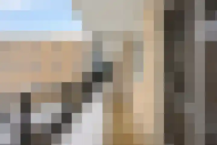 Lelie 27 Krimpen aan den IJssel thumbnail 4
