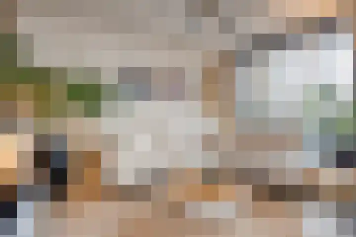 Lelie 27 Krimpen aan den IJssel thumbnail 6