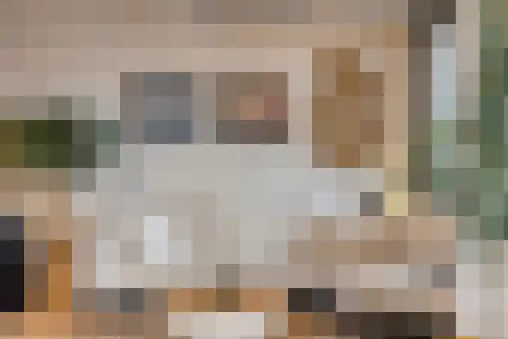 Lelie 27 Krimpen aan den IJssel thumbnail 7
