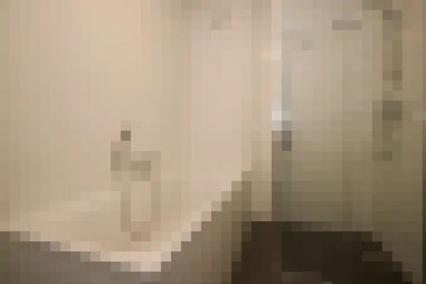 Lelie 45 Voorhout thumbnail 24