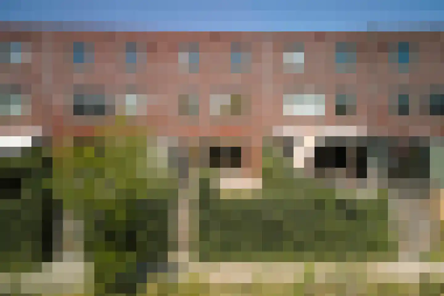 Lelie 45 Voorhout thumbnail 4