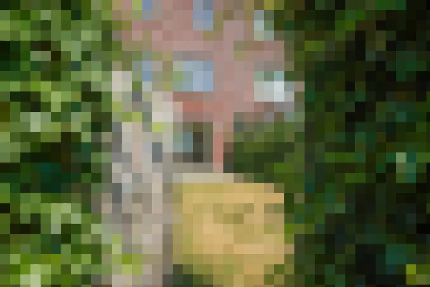 Lelie 45 Voorhout thumbnail 43