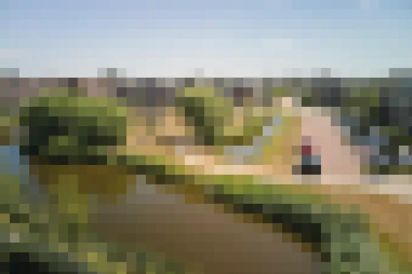 Lelie 45 Voorhout thumbnail 48