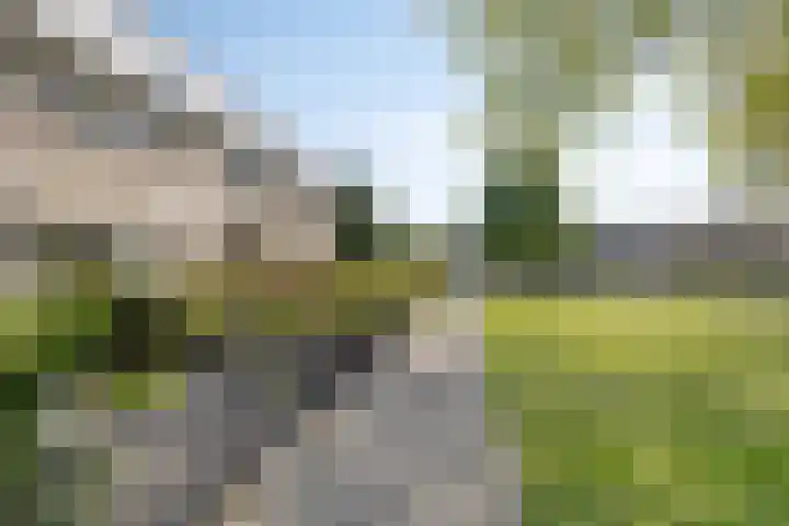 Lelieberg 24 Roosendaal thumbnail 39