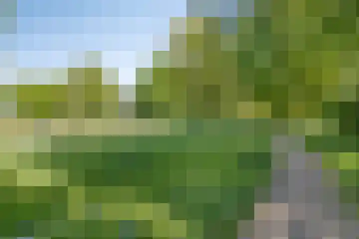 Lelieberg 24 Roosendaal thumbnail 40