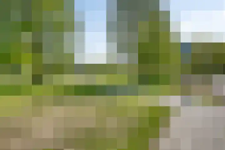 Lelieberg 24 Roosendaal thumbnail 43