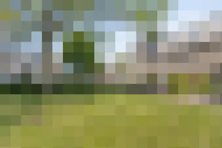 Lelieberg 24 Roosendaal thumbnail 44