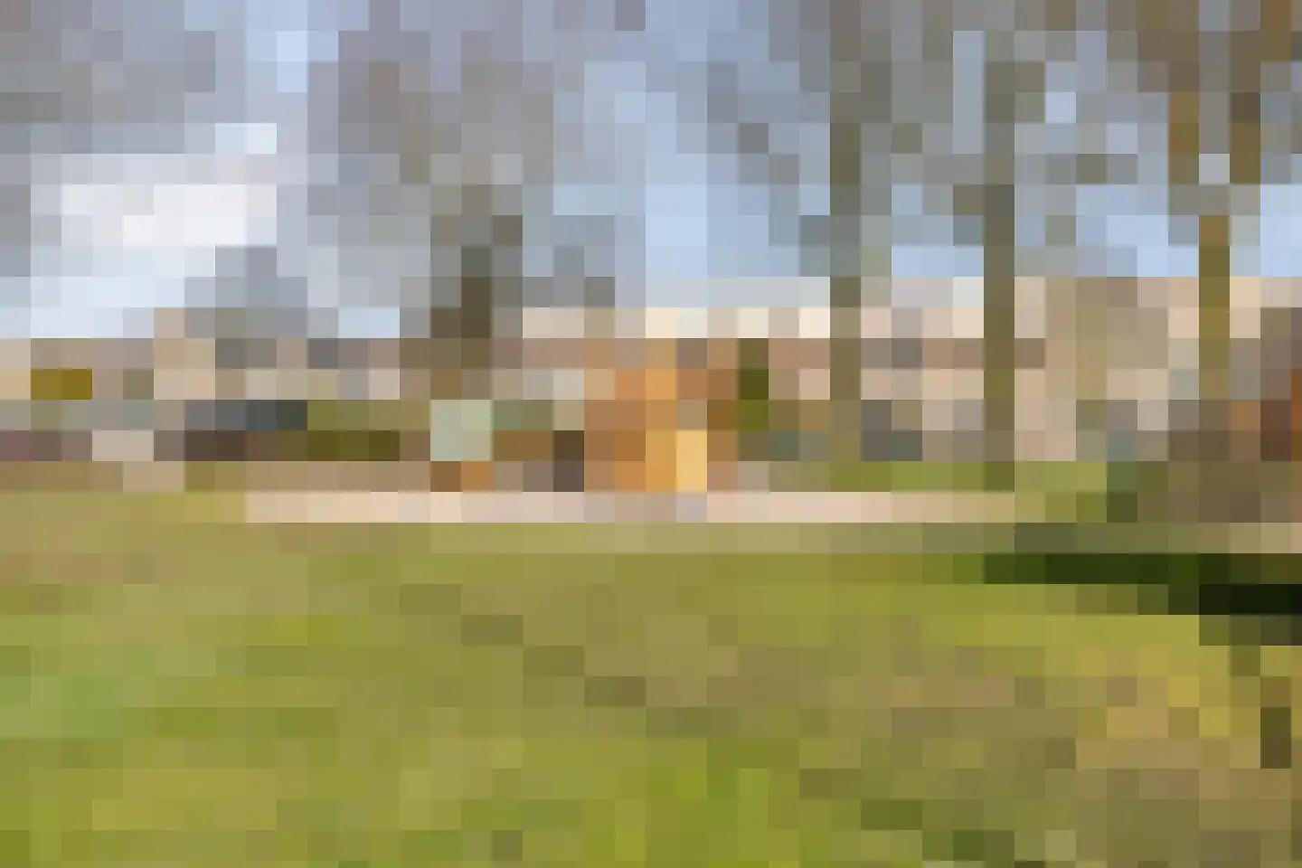 Lelieberg 7 Roosendaal thumbnail 47