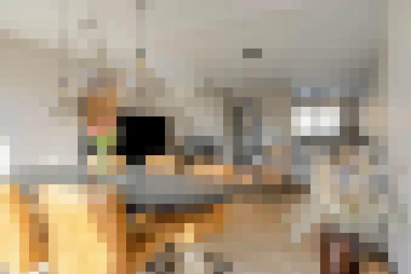 Lelieberg 7 Roosendaal thumbnail 9