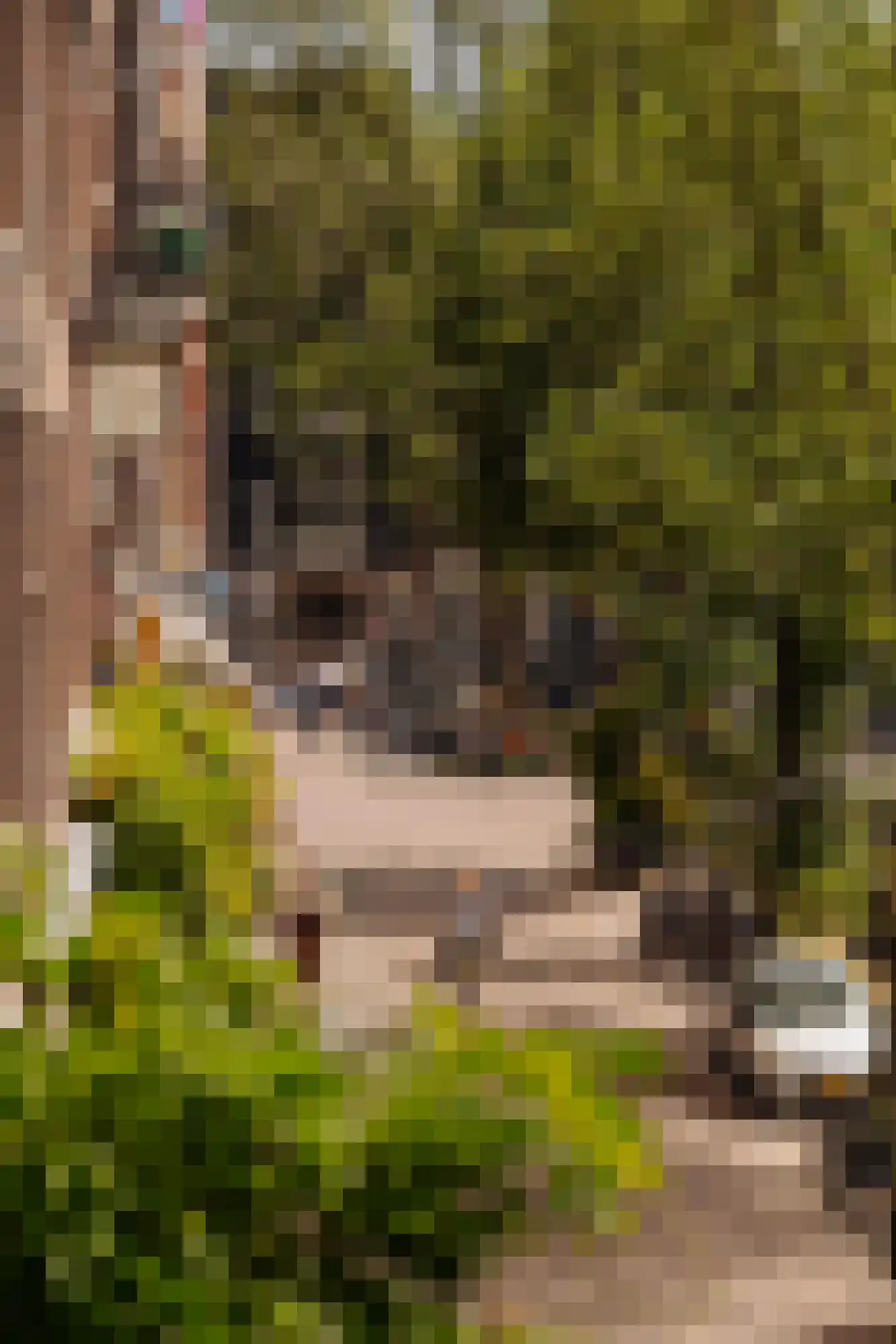Leliegracht 22 1 Amsterdam thumbnail 30