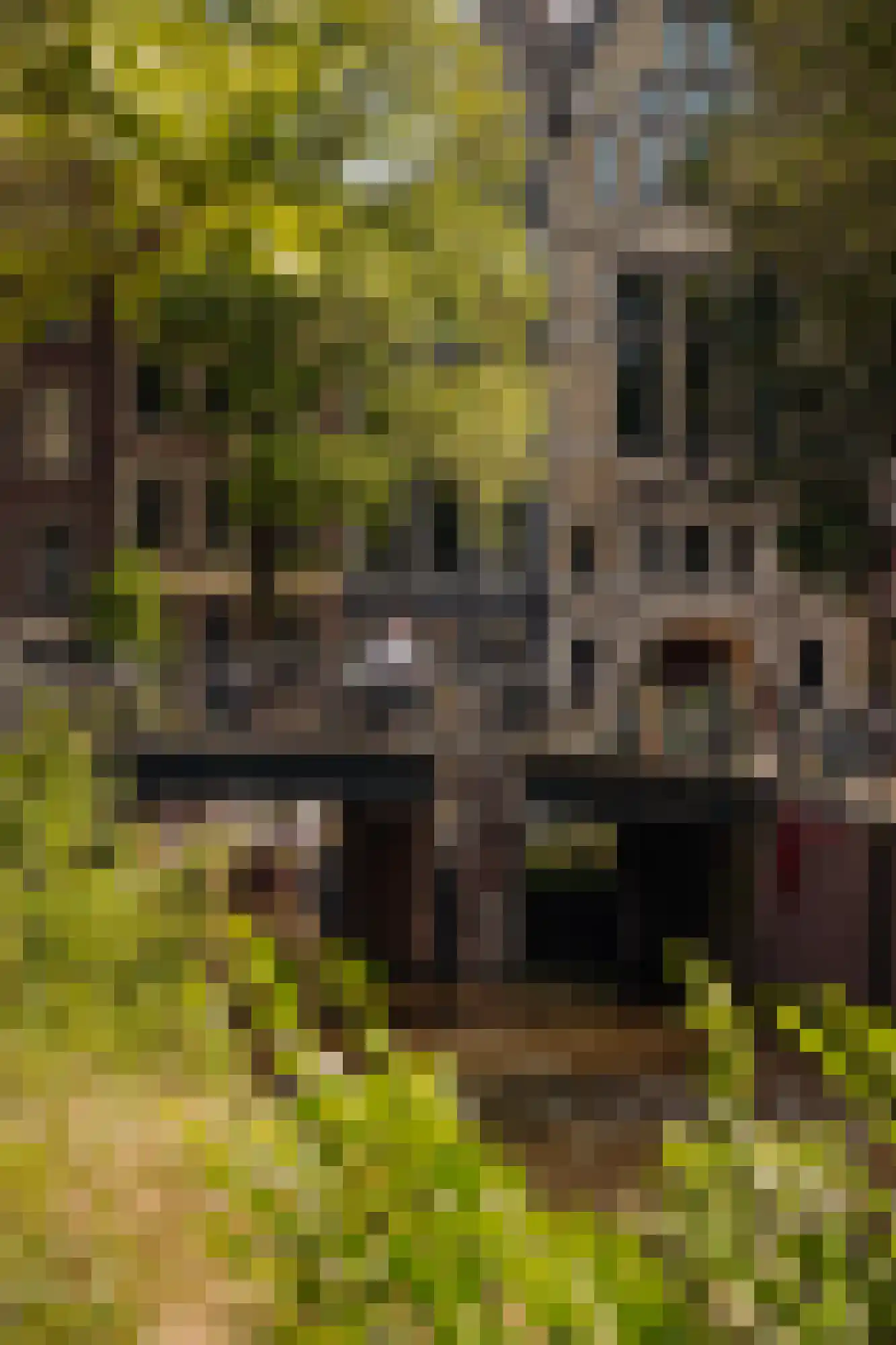 Leliegracht 22 1 Amsterdam thumbnail 32