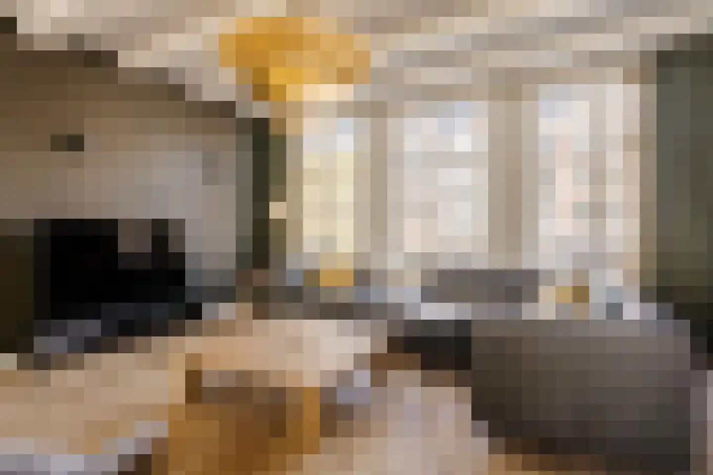 Leliegracht 37 Amsterdam thumbnail 34