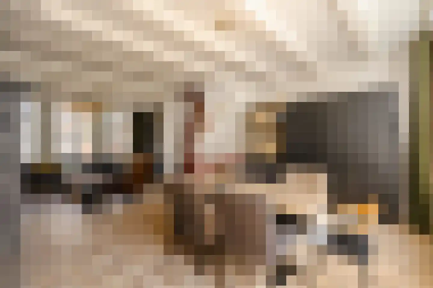 Leliegracht 37 Amsterdam thumbnail 40