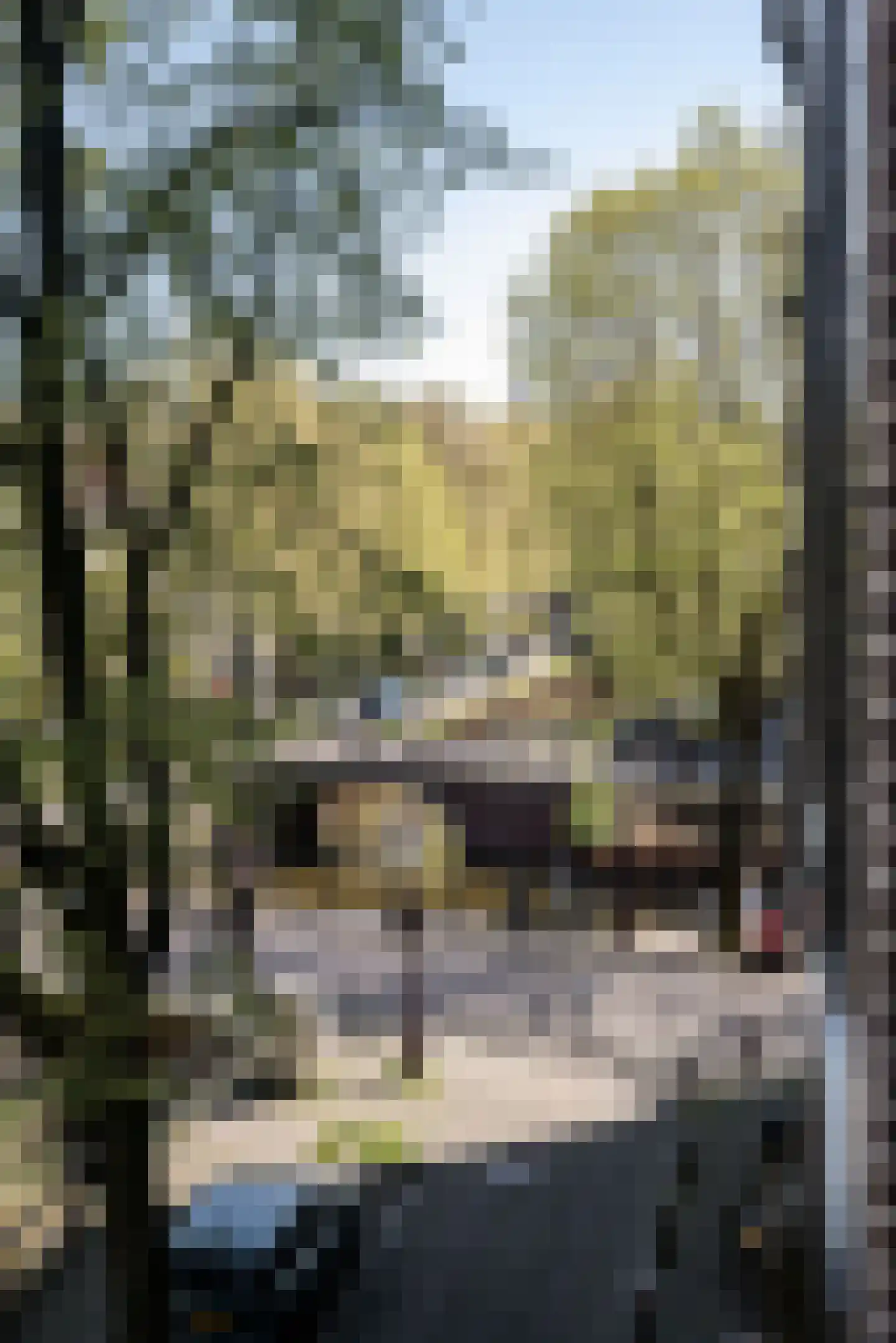 Leliegracht 37 Amsterdam thumbnail 61