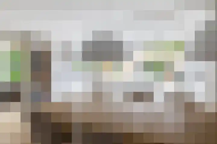 Leliehof 1 Prinsenbeek thumbnail 10