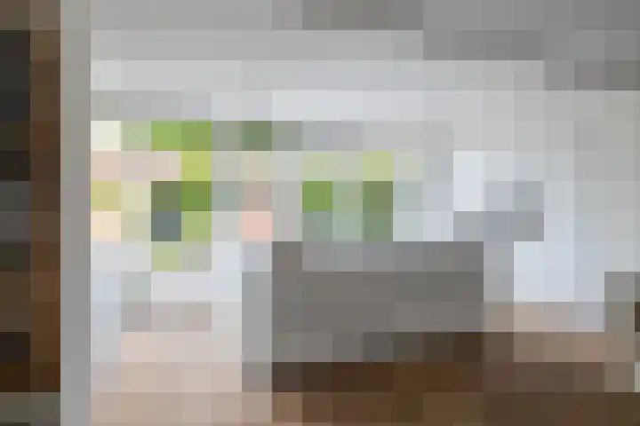 Leliehof 1 Prinsenbeek thumbnail 12
