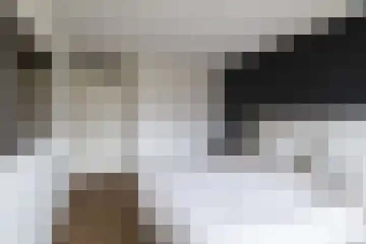 Leliehof 1 Prinsenbeek thumbnail 15