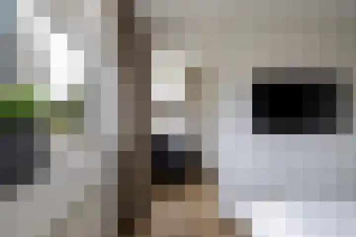 Leliehof 1 Prinsenbeek thumbnail 16