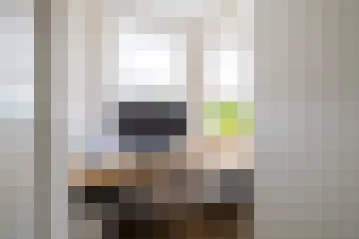 Leliehof 1 Prinsenbeek thumbnail 18