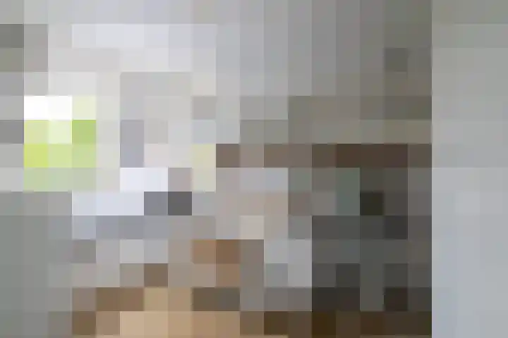 Leliehof 1 Prinsenbeek thumbnail 19