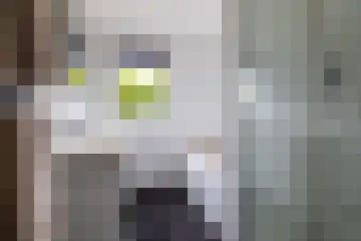 Leliehof 1 Prinsenbeek thumbnail 20