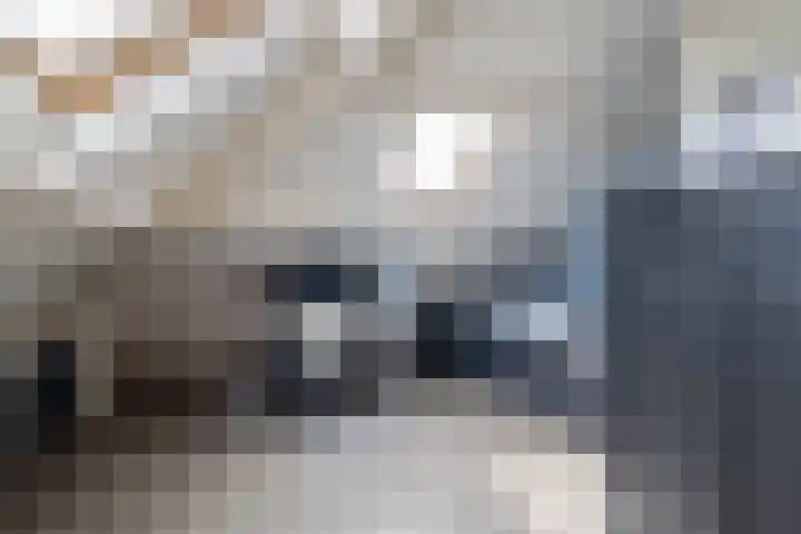 Leliehof 1 Prinsenbeek thumbnail 23