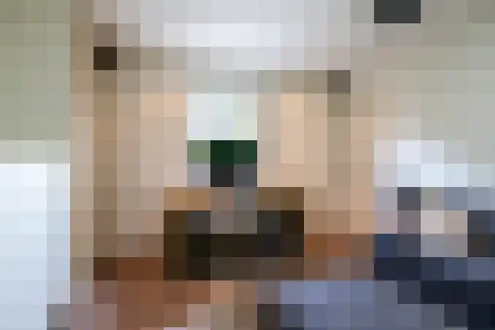 Leliehof 1 Prinsenbeek thumbnail 28