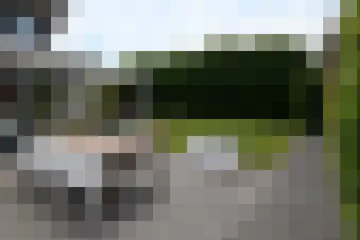 Leliehof 1 Prinsenbeek thumbnail 30