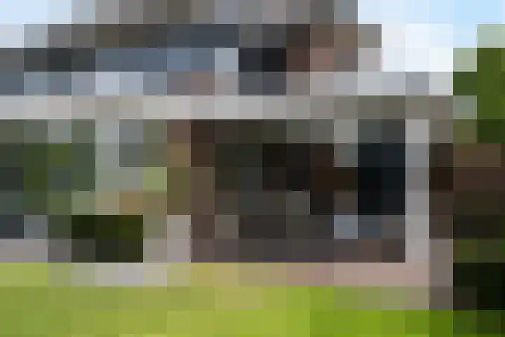 Leliehof 1 Prinsenbeek thumbnail 31