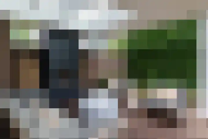 Leliehof 1 Prinsenbeek thumbnail 32