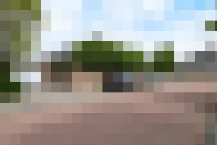 Leliehof 1 Prinsenbeek thumbnail 36