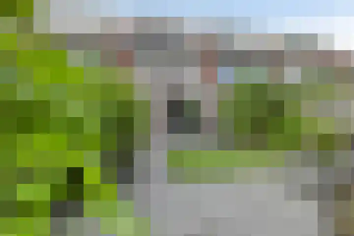 Leliekeverstraat 30 in Den Haag