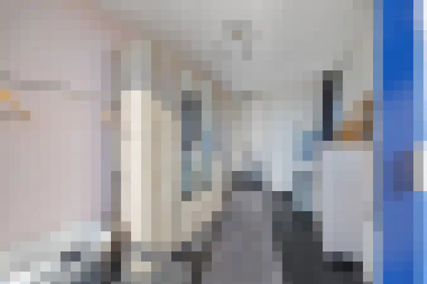 Leliekeverstraat 51 Den Haag thumbnail 21