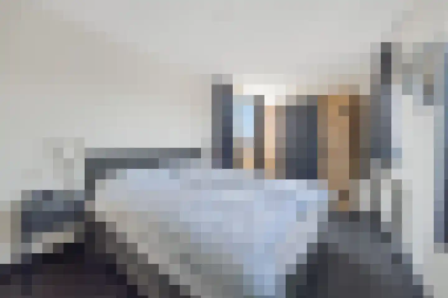 Leliekeverstraat 51 Den Haag thumbnail 4
