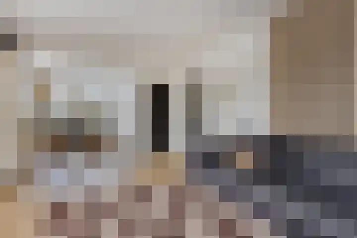 Lelielaan 1 Oegstgeest thumbnail 11