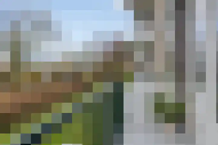 Lelielaan 1 Oegstgeest thumbnail 15