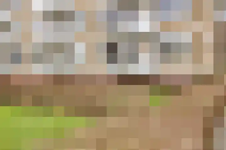 Lelielaan 1 Oegstgeest thumbnail 23