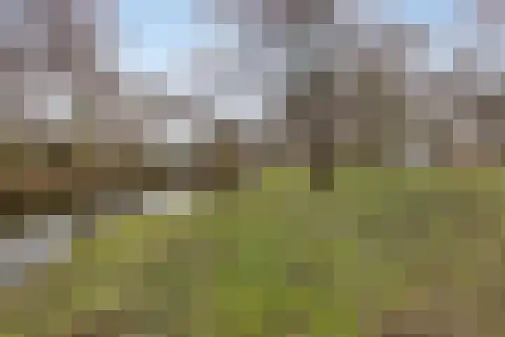 Lelielaan 1 Oegstgeest thumbnail 25