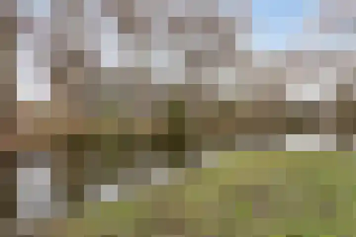 Lelielaan 1 Oegstgeest thumbnail 26