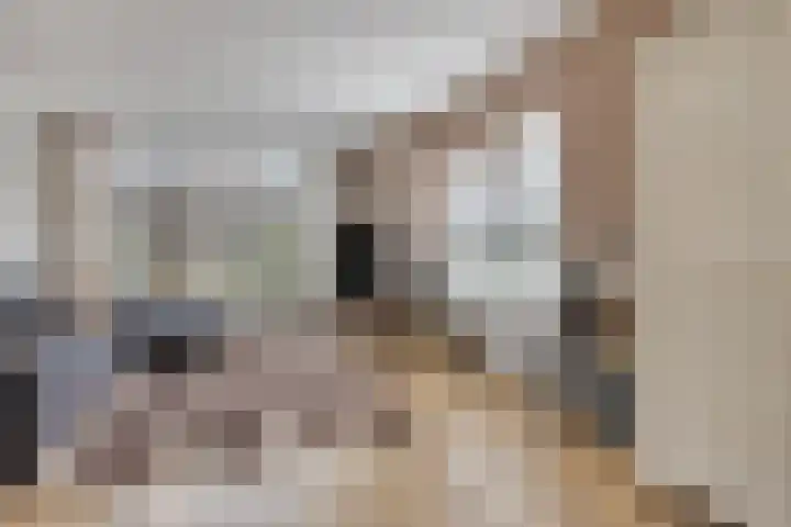 Lelielaan 1 Oegstgeest thumbnail 29