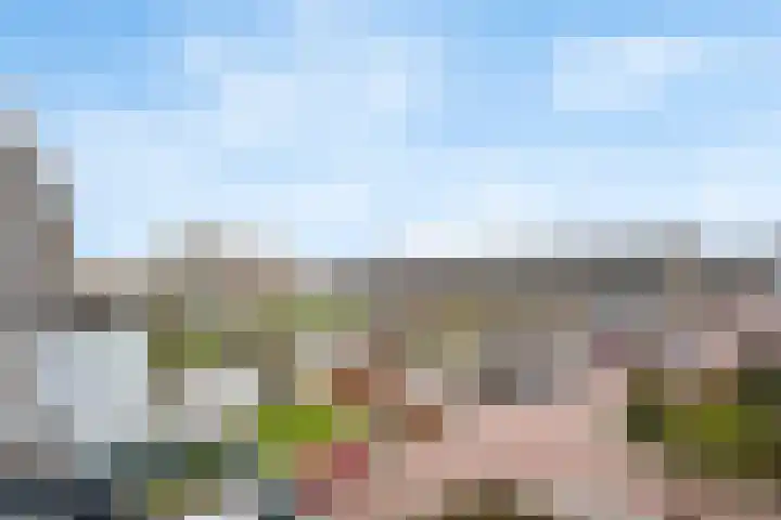 Lelielaan 15 Oegstgeest thumbnail 16