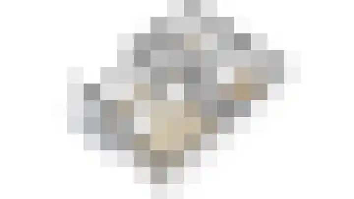 Lelielaan 15 Oegstgeest thumbnail 35