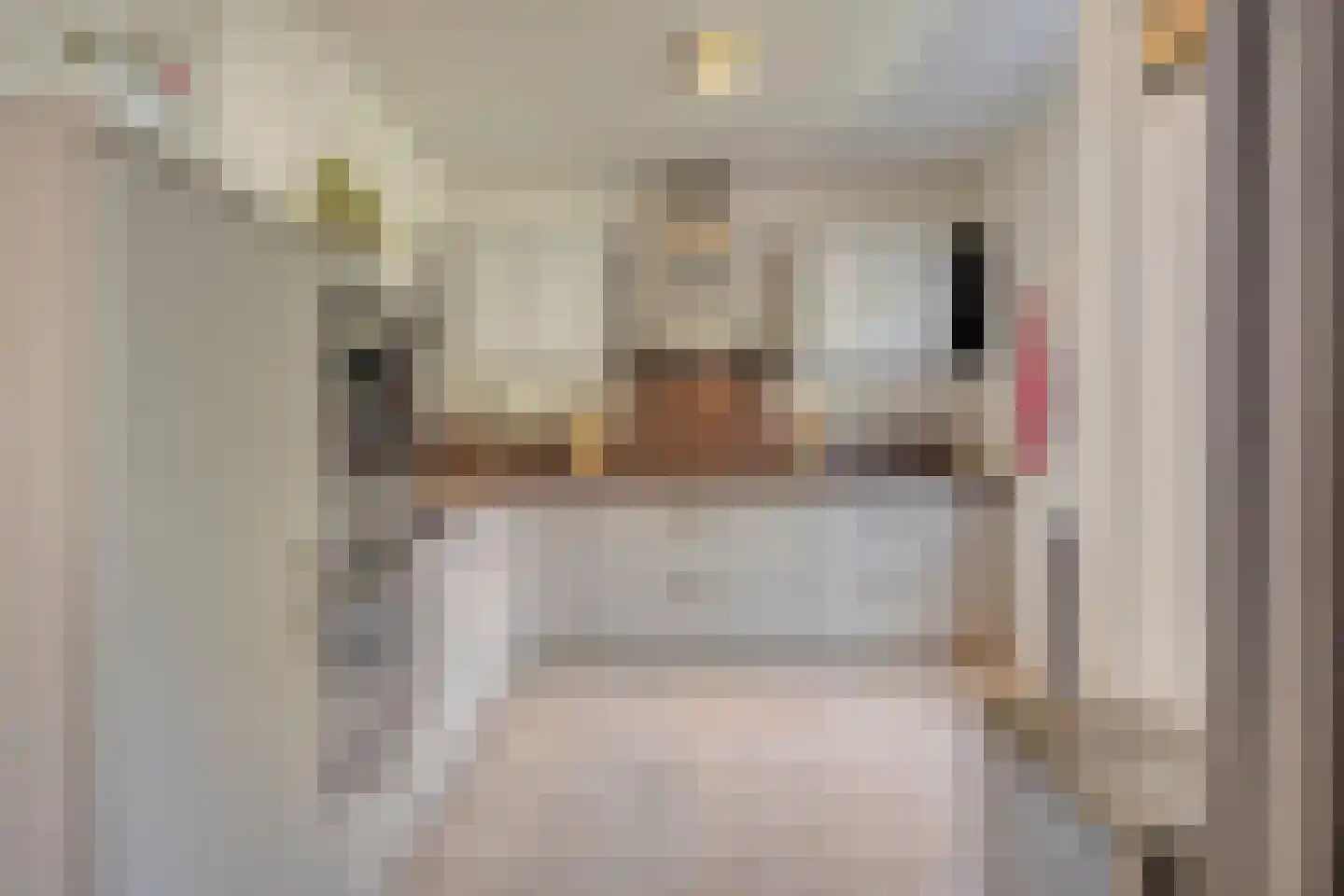 Lelielaan 2 Waalre thumbnail 11