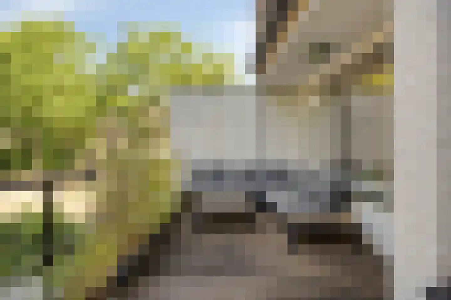 Lelielaan 2 Waalre thumbnail 15