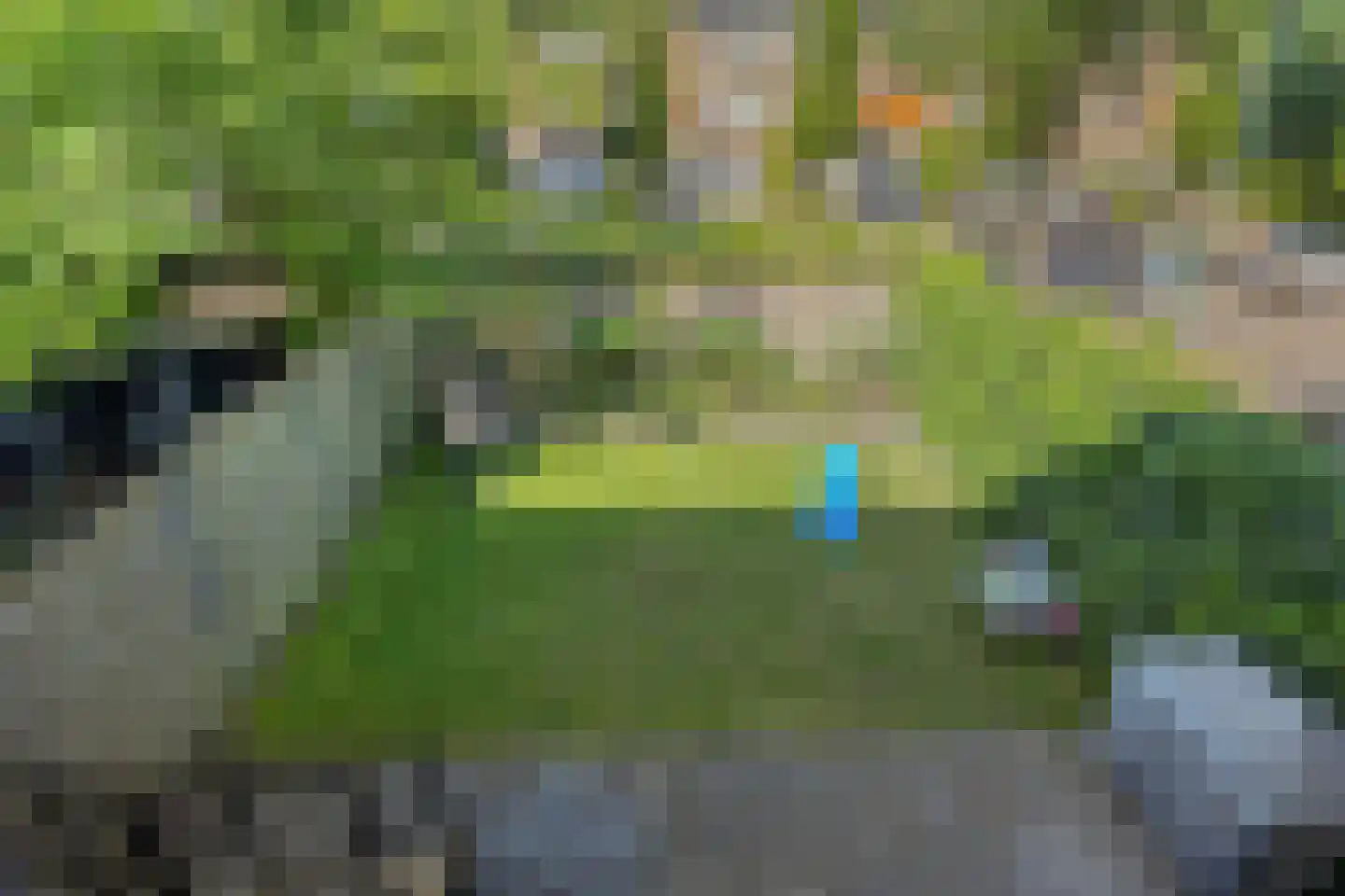 Lelielaan 2 Waalre thumbnail 38
