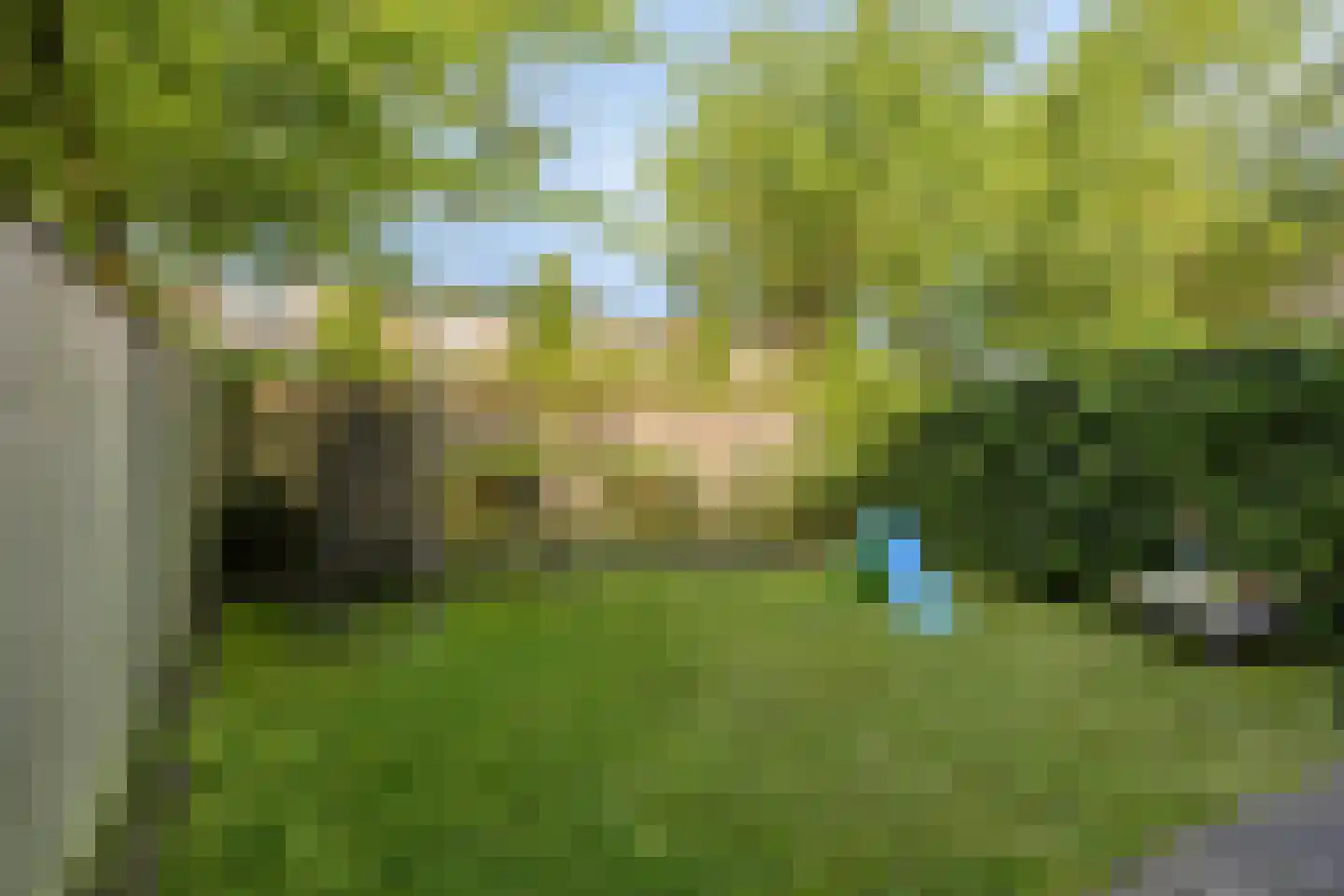 Lelielaan 2 Waalre thumbnail 39